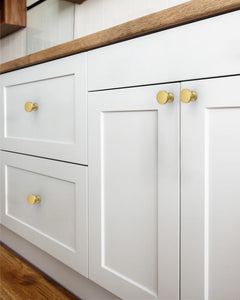 DESIGN3835 Contemporary Flat Disc Cabinet Knobs with Round Rose